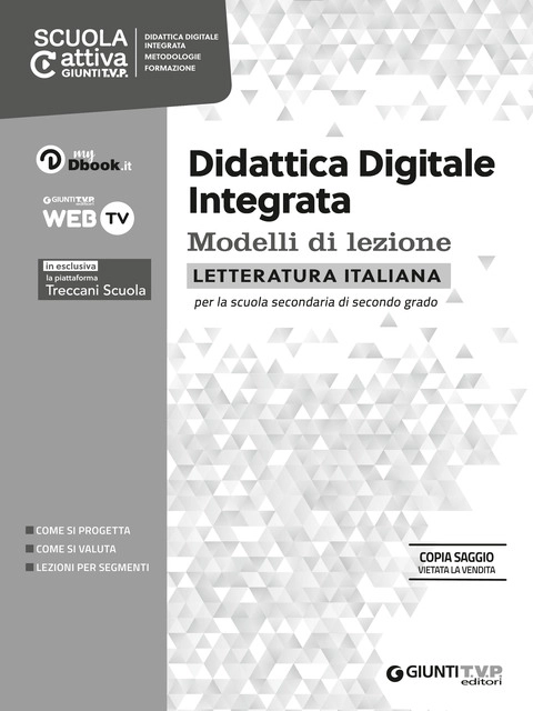 Cover Didattica digitale integrata – Letteratura italiana